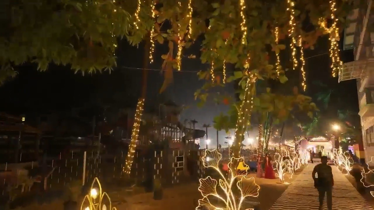 Pathway with tree lights